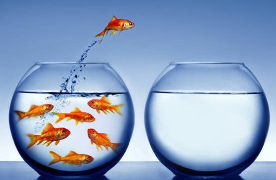 manuella_lokona's tweet image. sou essa imagem quando se trata da bolha do kp0p es 

nao sei absolutamente nada nao conheço nada nao me pergunte nada nao fodo com nada #fui