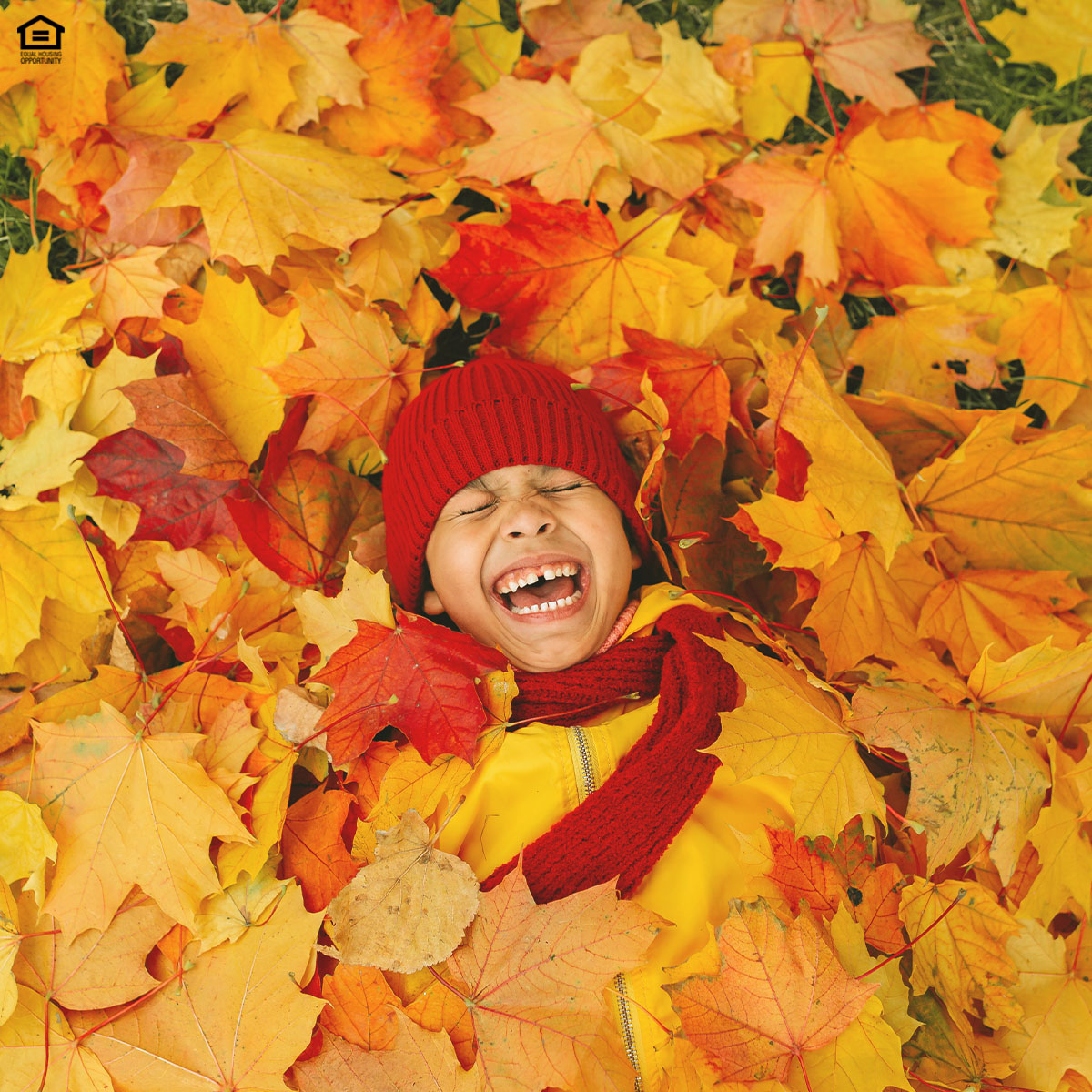 SummerKeyofAL's tweet image. Welcome, #November! 🍂❤️ A season of gratitude, golden leaves and cozy moments has arrived.