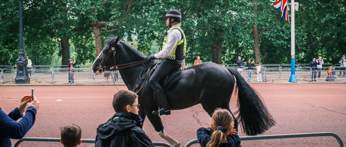 KevinChaires_'s tweet photo. Horse.

📷: Fujifilm X100VI https://t.co/hDOdkquYf9