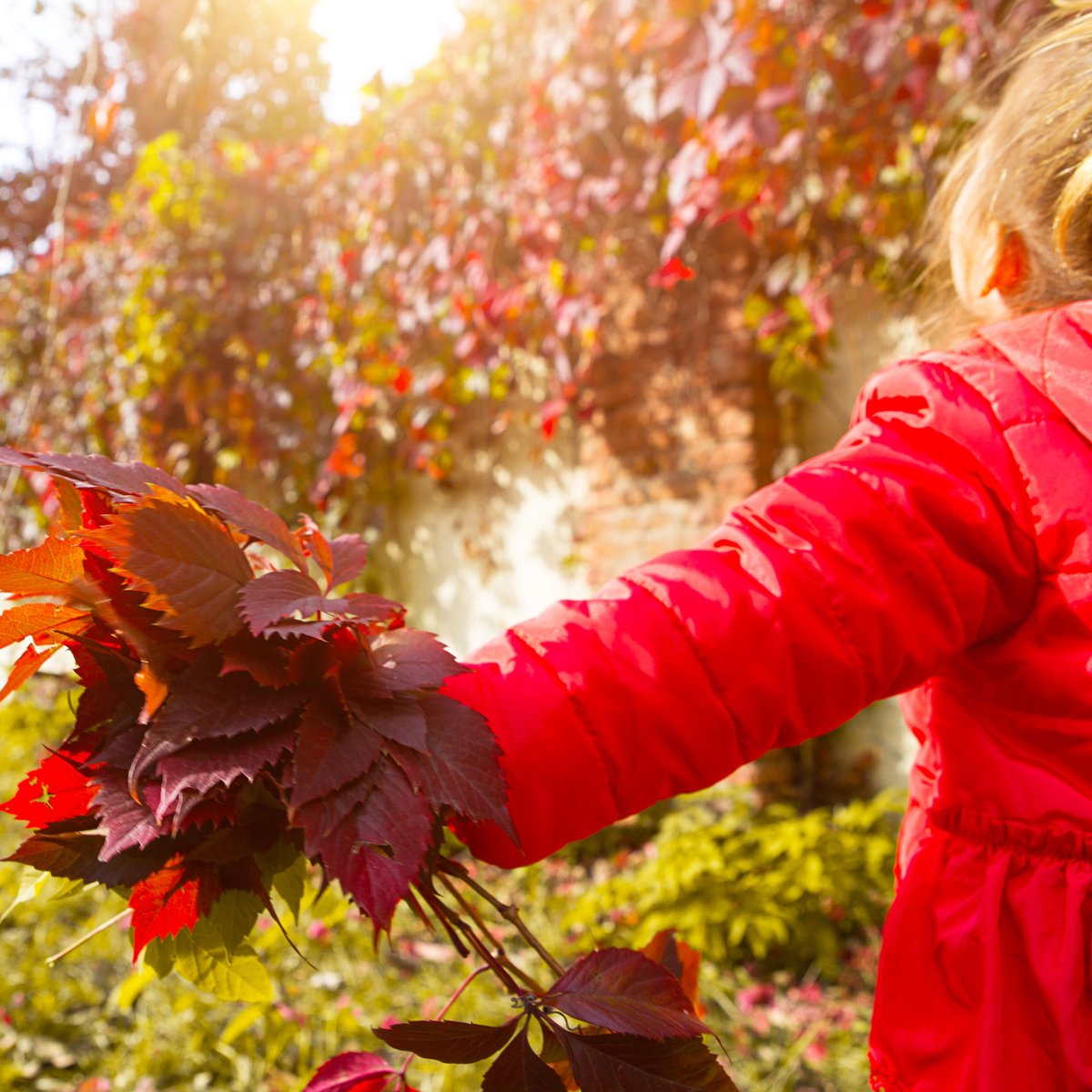 WalkerResort's tweet image. Spending time outdoors is the perfect way to recharge your mind and refresh your body. Embrace the outdoors in every season! Happy Fall, Muskoka 🍁

 #embracetheoutdoors #happyfall #recharge #happymoment #walkerlakeresort #muskoka