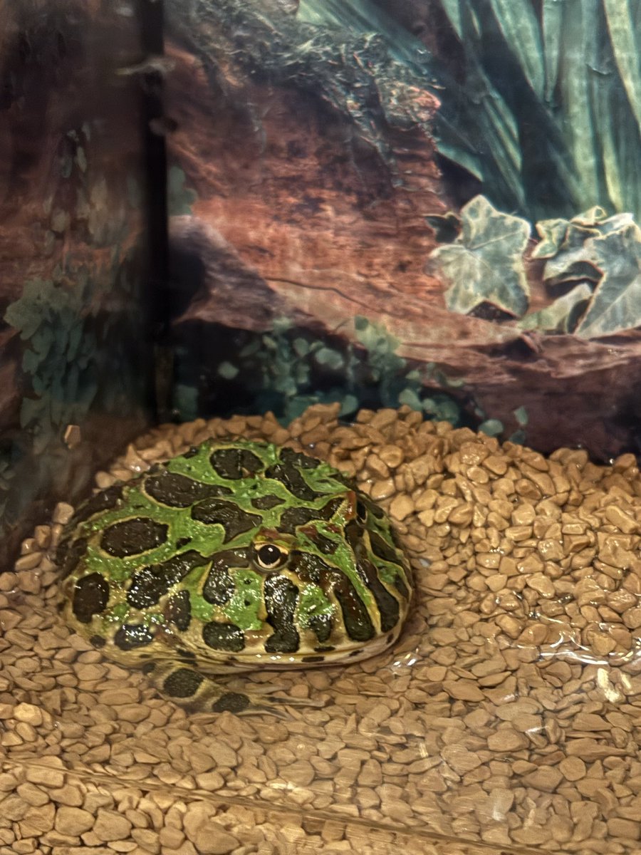 あっきー (@Ky8vqTxbit90745) / Posts / X