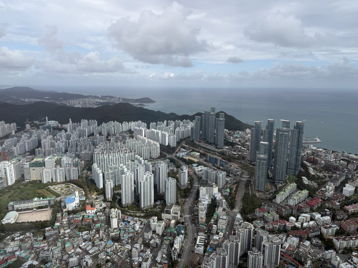 René de Vries tweet media