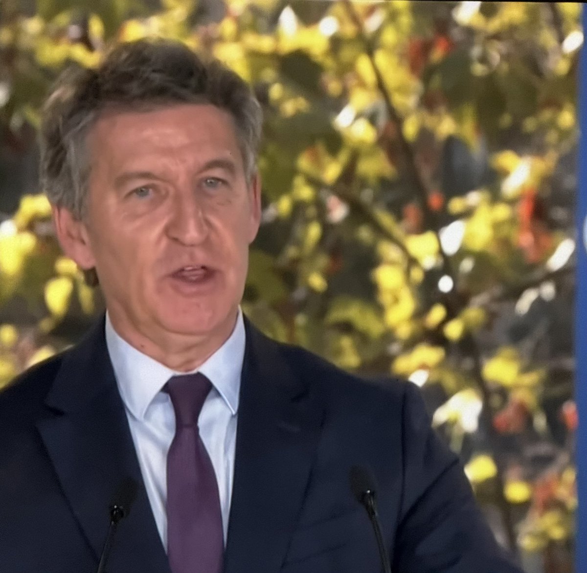 Susana Fuster tweet media