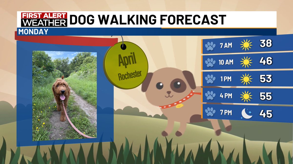 It's a bright and pleasant day to take your dog for a walk. Expect sunny skies today with a gusty west breeze. High temperatures will be in the mid-50s, several degrees warmer than the seasonal average. #DogWalkingForecast #kttcwx #rochmn