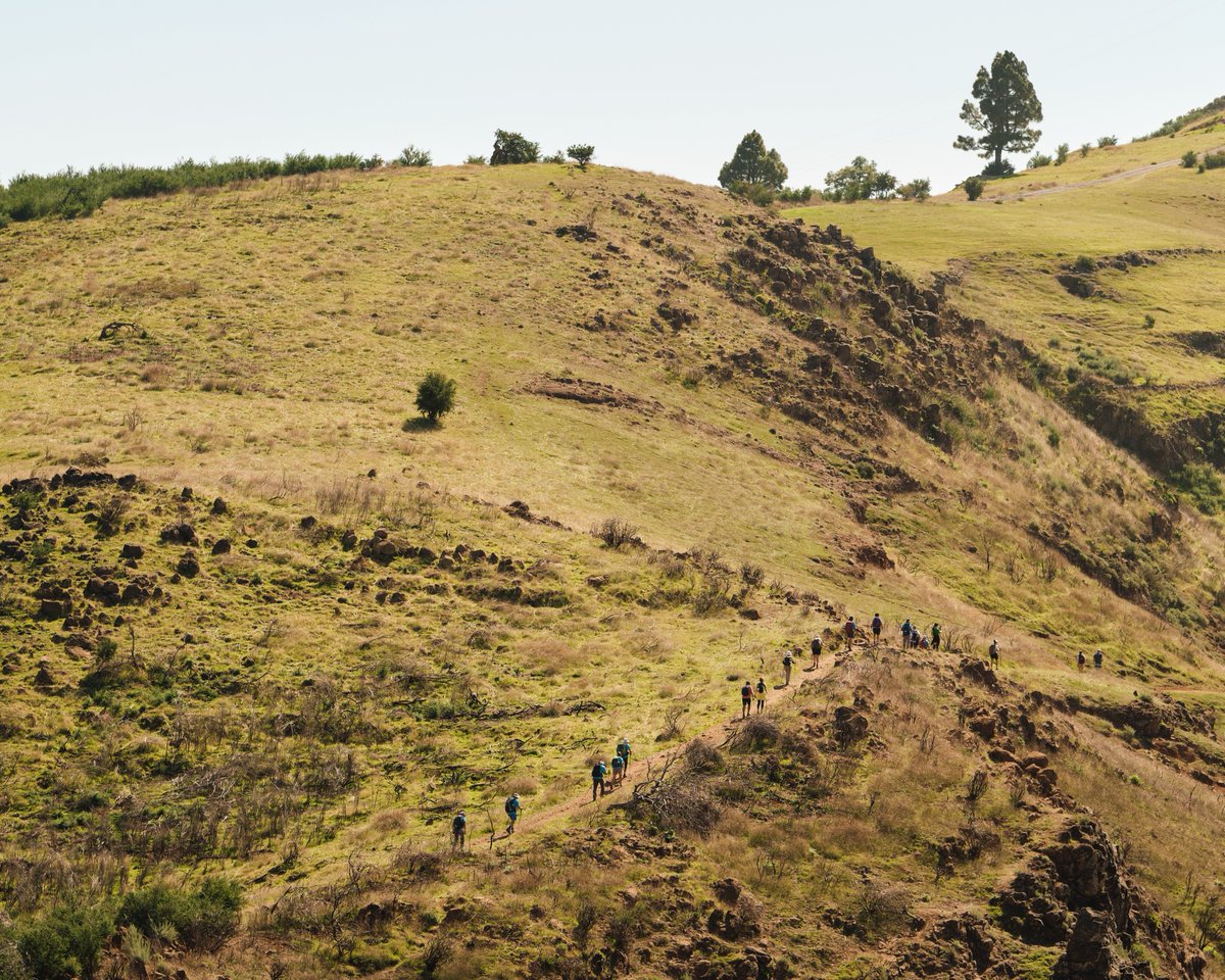 #GranCanaria, reconocida por la UNESCO como Reserva de la Biosfera, es un ejemplo vivo de equilibrio entre las personas y la tierra que habitan 🍃

Hoy celebramos el compromiso con un futuro sostenible 💚

#GCNaturalandActive | #ReservaDeLaBiosfera