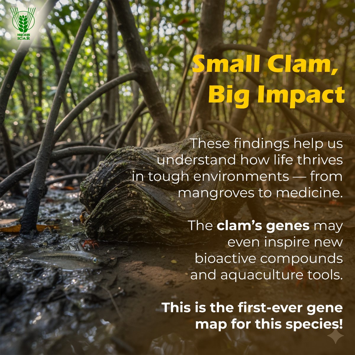 Scientists at #ICAR–CMFRI, Kochi have decoded the complete gene map of the mangrove clam Geloina coaxans. The study reveals genes for immunity, stress tolerance &amp; shell formation — a key step toward understanding adaptation &amp; resilience in mangrove ecosystems.
<a href="/ChouhanShivraj/">Shivraj Singh Chouhan</a>