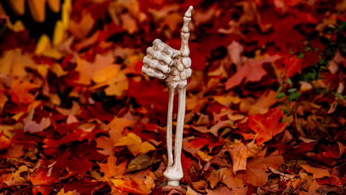 JonesNorma9's tweet photo. 🎃 Candy – check!
👻 Costume – check!
💀 Fear and laughter all rolled into one – ready!
Happy Halloween, friends! 🧡     #PlumeHalloween https://t.co/mr6icC04xp