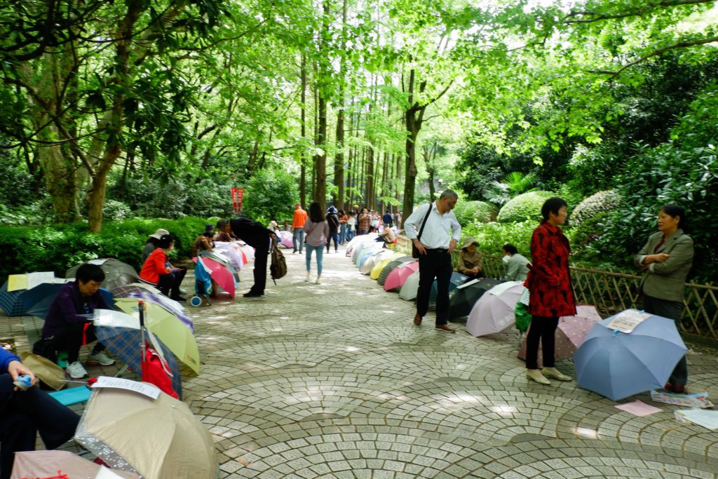 caredgitz's tweet photo. Every weekend, parents fill city parks in China with paper résumés of their adult children — hunting for love, community, and a sense of purpose.
A social ritual caught between tradition and modern pressure.
#China #SocialCulture #MarriageMarket https://t.co/4emRsDLJeS