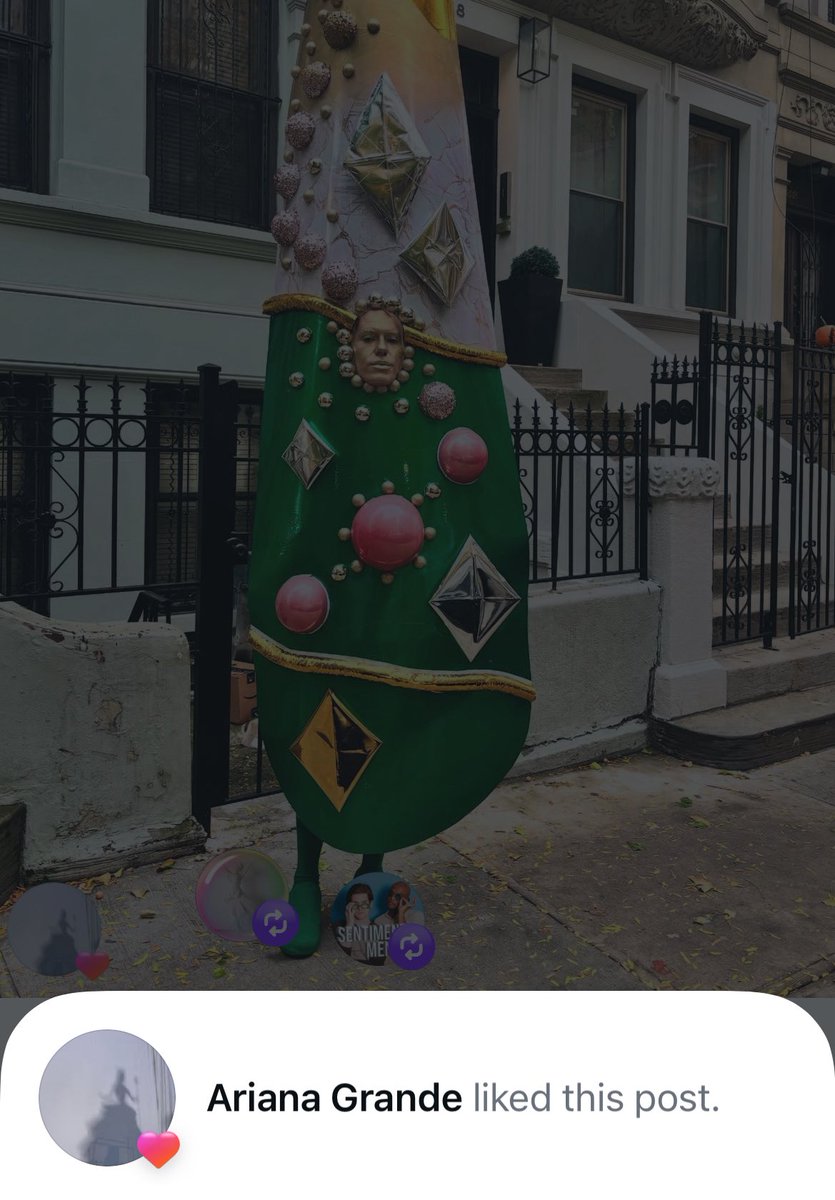 ʚ velvet ɞ tweet media