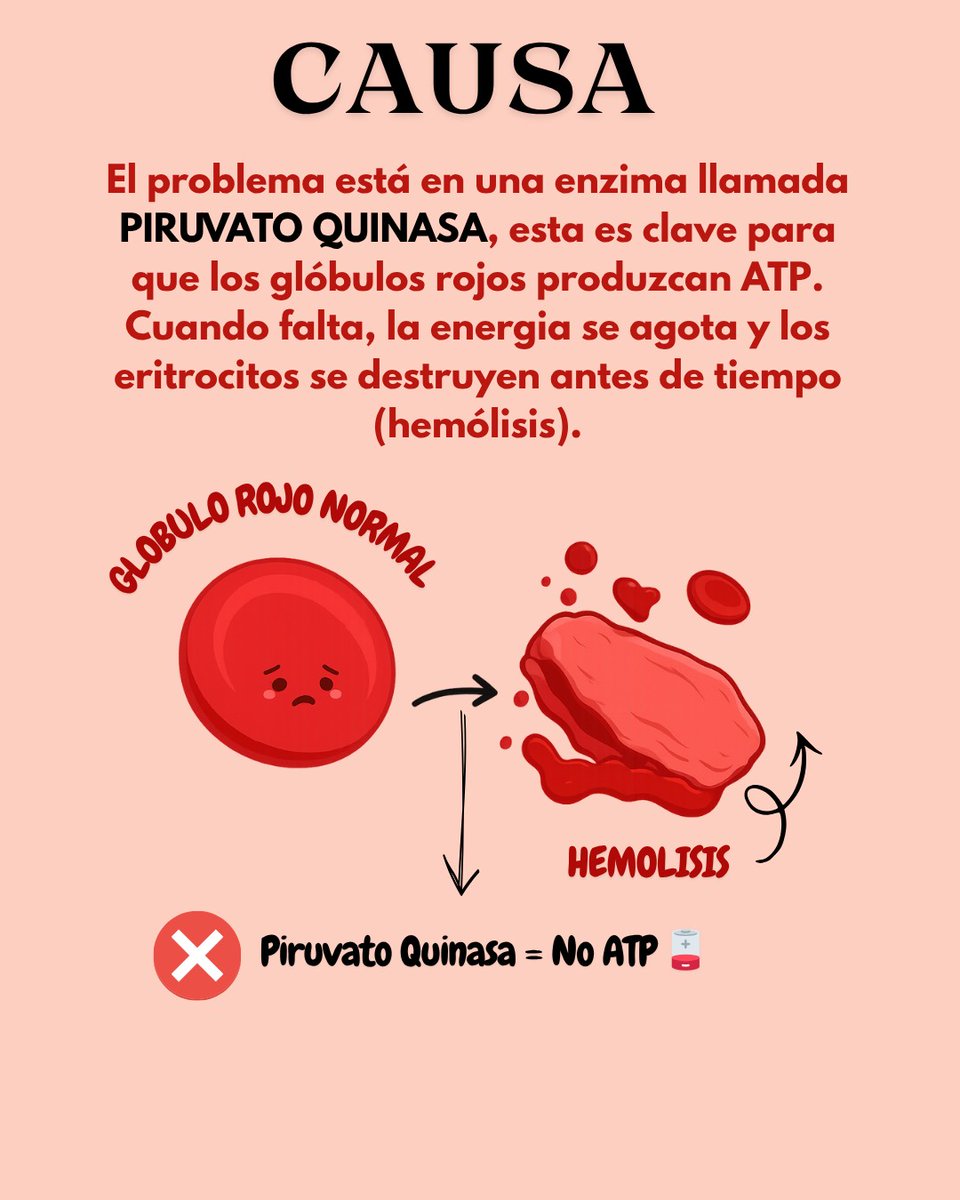 OCAILABES tweet media