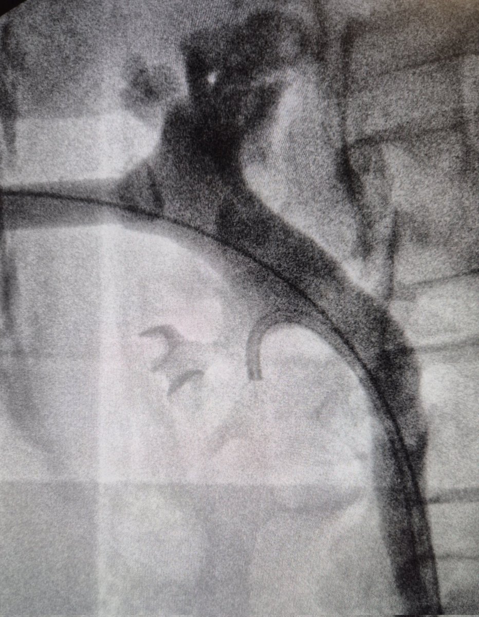 Marcos Cepeda tweet media