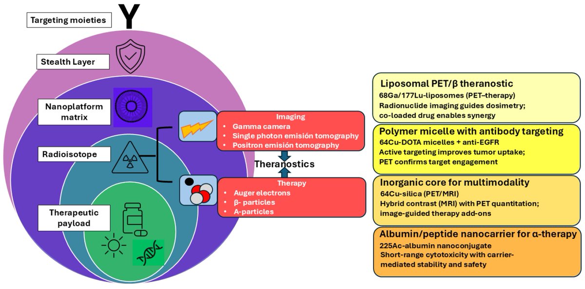 🆕#JNTMDPI Publication: Theranostic Nanoplatforms in Nuclear Medicine: Current Advances, Emerging Trends,and Perspectives for Personalized #Oncology✍️by María Jimena Salgueiro and Marcela Zubillaga🔗brnw.ch/21wX9Hk #NuclearMedicine #Radiopharmaceuticals #Nanotechnology