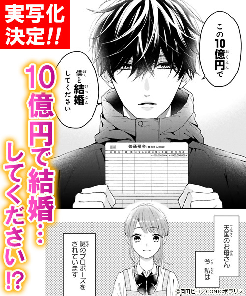 あこたけ様✩⋆確認専用ページ あこたけ様✩⋆確認専用ページ ヒミツの王子様☆（2） (ちゃおコミックス)
