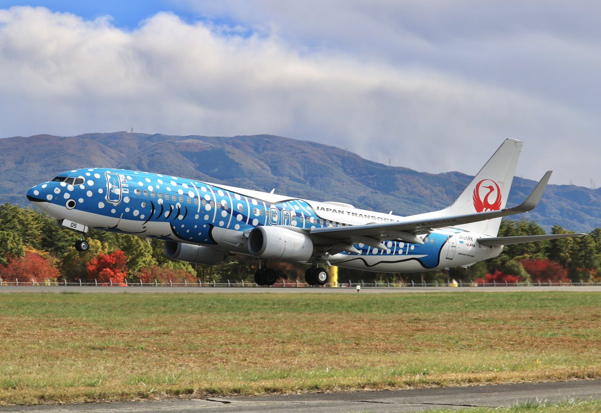 jal787_flight's tweet photo. 今年も那覇からジンベエザメが来ました
来年は結ジンベエで待ってます！🟢🦈

JTA3222-JTA3223
沖縄那覇-信州まつもと
B737-800（JA05RK）
#JTA #JAL #信州まつもと空港 #松本空港 #那覇空港 #ジンベエザメ 
@JTA_Official_jp @JAL_Official_jp https://t.co/lDAamCaLVW