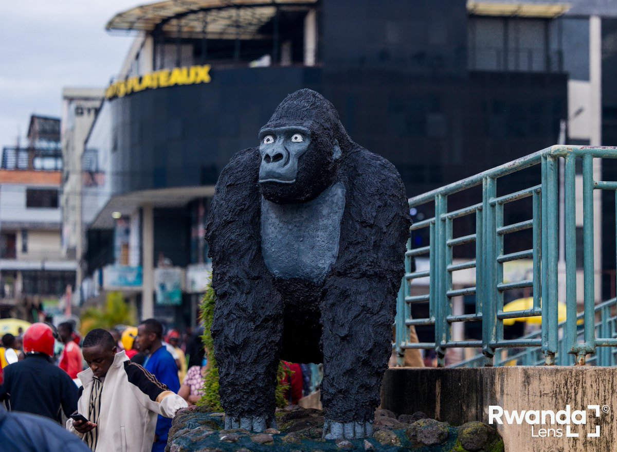 rwandalens's tweet photo. Experience the vibe of Musanze, one of Rwanda’s secondary cities. https://t.co/tt4CRiC7O6