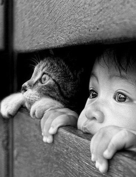 CAPy9iUiGOJqqFG's tweet image. 不要把孩子，限制在你自己的认知里。
因为他，生在另一个时代。
你看着他跌跌撞撞，总想伸手去扶，
可有些路，注定要他自己去走。
时代的风，早已吹向不同的方向。
你以为的稳妥，在他眼中也许是束缚。
你担心的风险，或许正是他看见更远风景的机会。