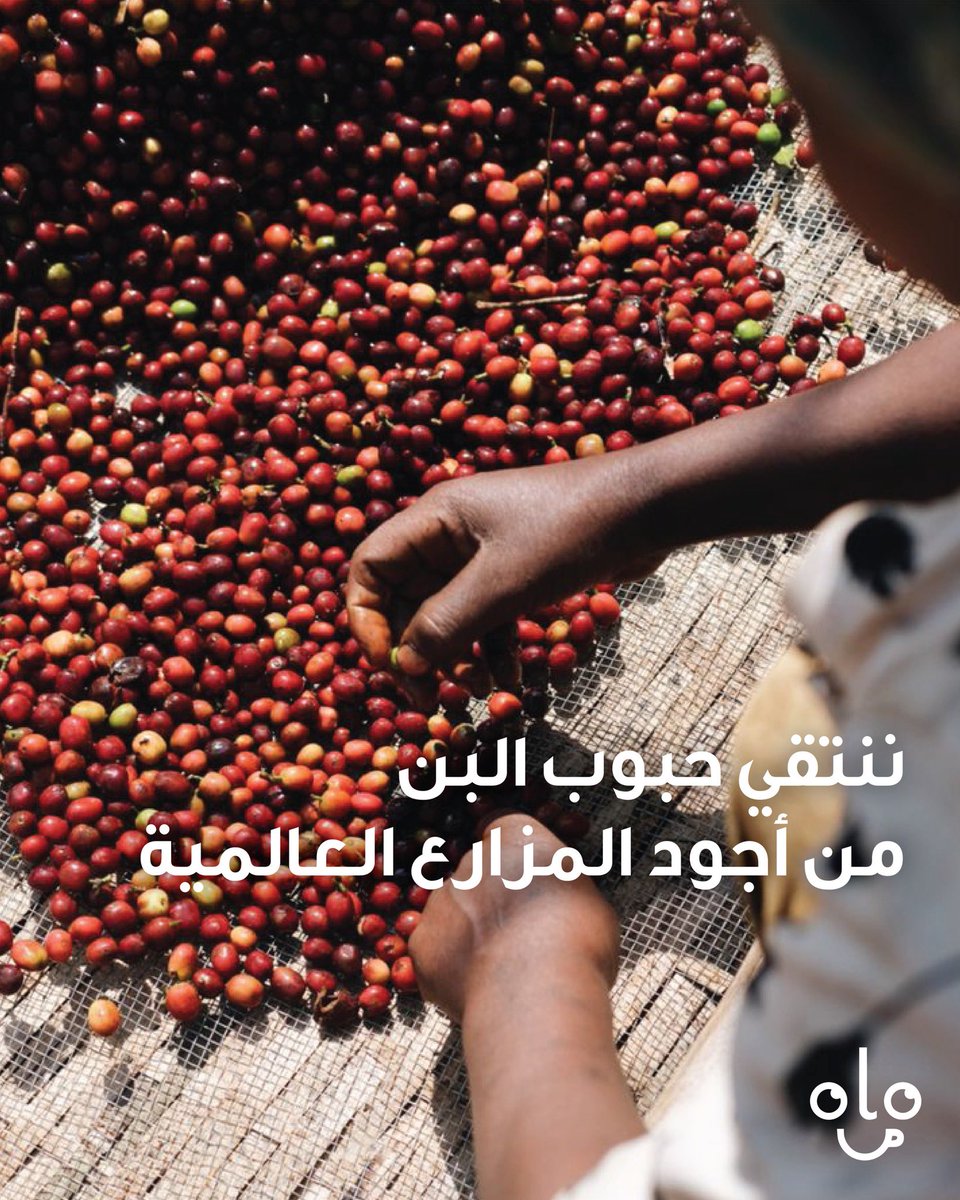 محامص بيكولو tweet media