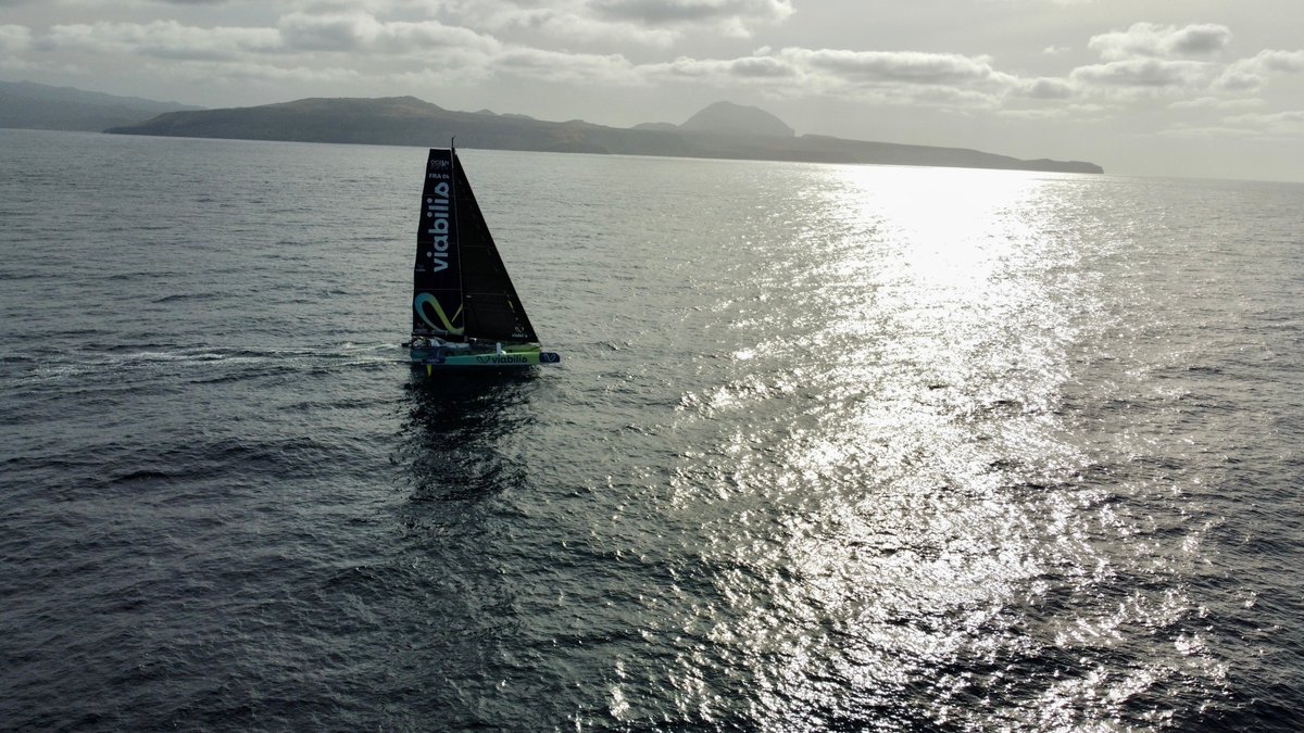 TRANSAT CAFÉ L’OR tweet media