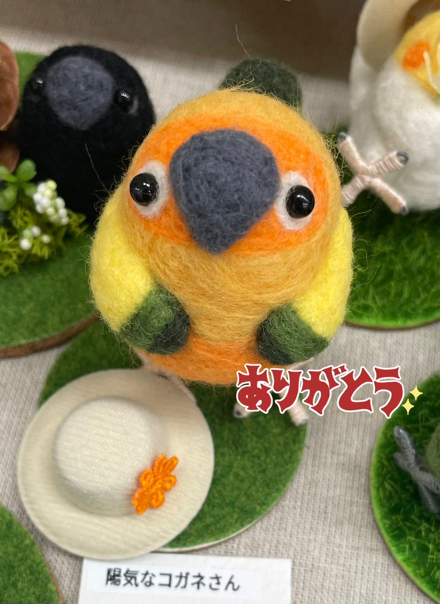 1日2日に開催されていた鳥フェス横浜🕊️
たくさんの皆様に助けられ無事出展でき元気に帰宅しております！

お迎えくださったお客様お越しくださったお客様本当にありがとうございました( •ө• )💕
　#鳥フェス横浜
