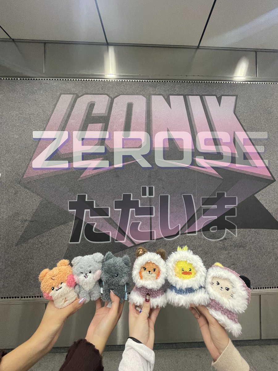 ちぃまる(치이마루)🦊@석매튜 on X