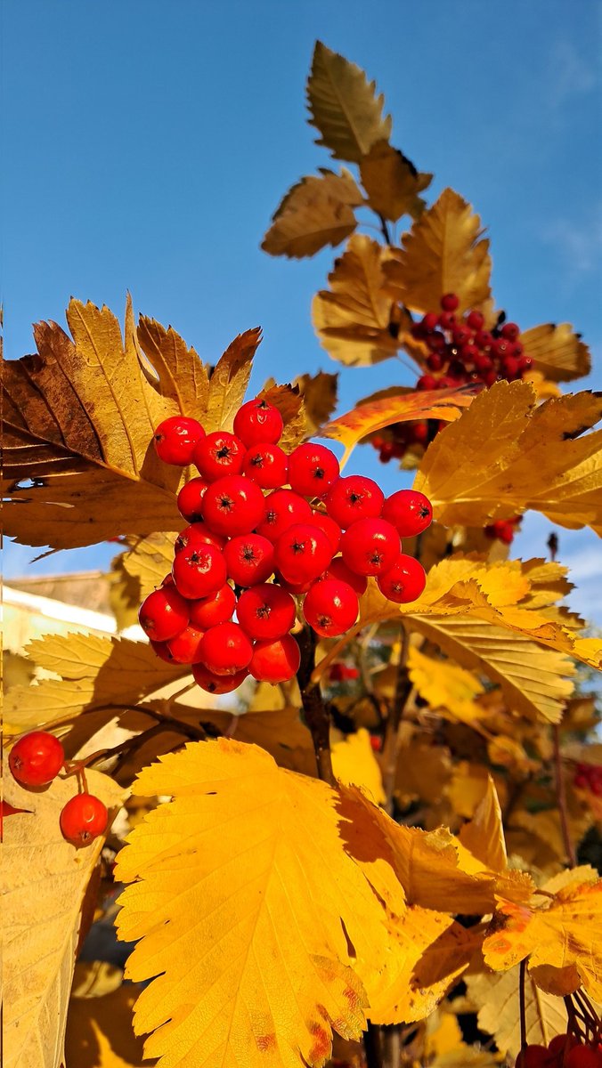 ivalent_'s tweet image. 