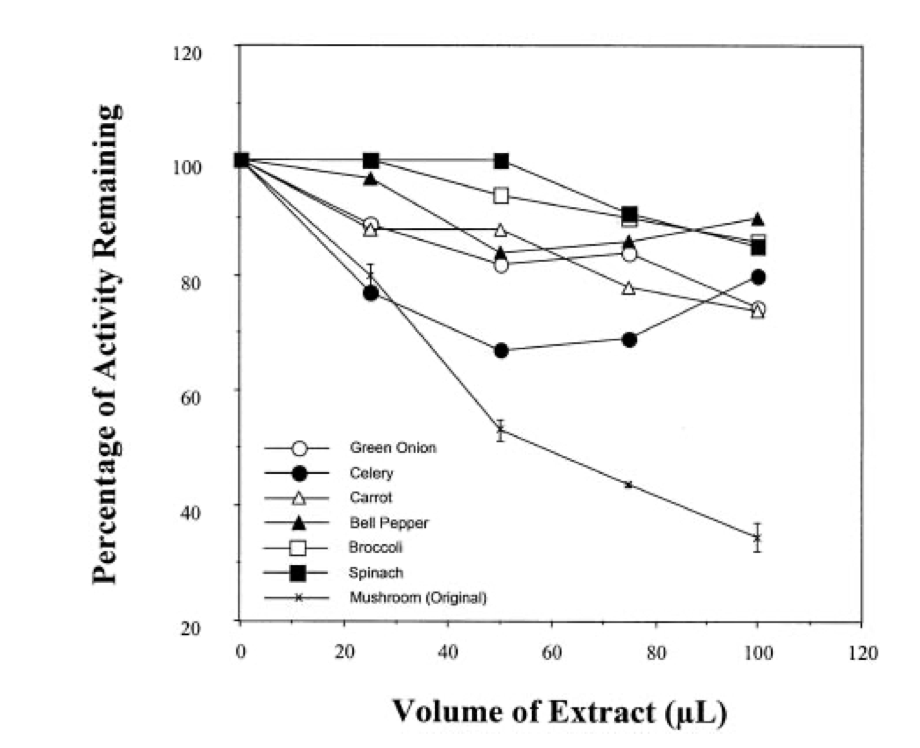 _aestheticprimal_ tweet media