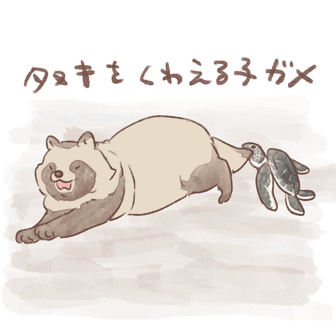 たぬき タヌキをくわえる子ガメ