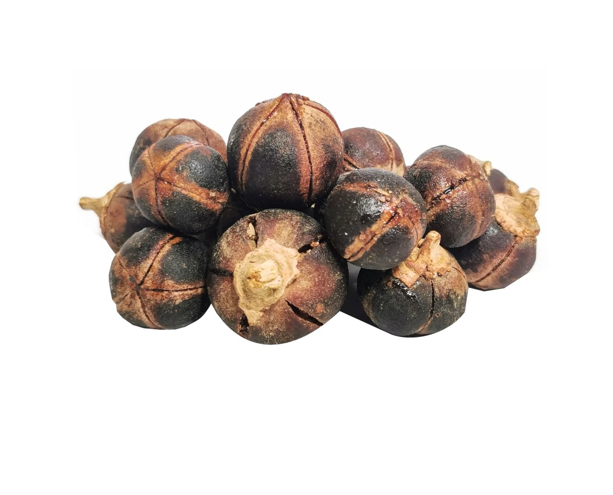 researchngr's tweet photo. Azanza garckeana, known as Goron Tula, is widely consumed in Northern Nigeria for its supposed energy, fertility, anti-hyperglycemic and libido-enhancing properties. @Maryam_Salman_  subjected the antihyperglycemic effect claim of the fruit to a test using adult Wistar rat

🧵 https://t.co/E0K2RZRuqV