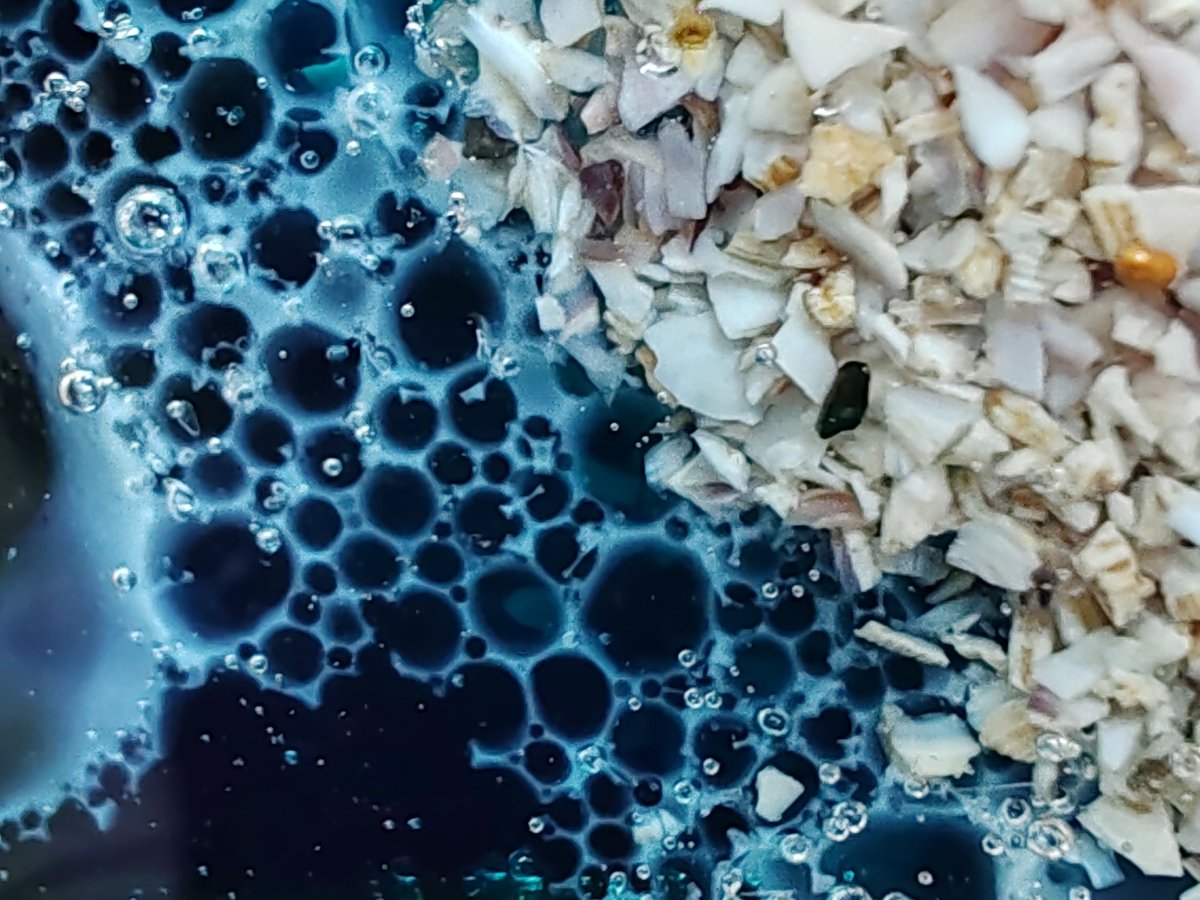 El Botín del Panda 💰🐼🧡 tweet media