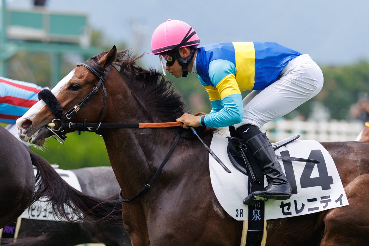 Champion Jockey Special 亮雅 Champion Jockey Special 亮雅 Champion Jockey Special 亮雅 Horse