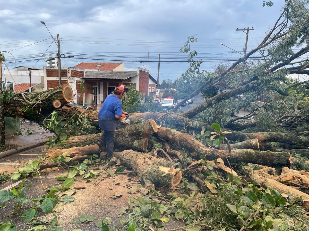g1bauru's tweet image. Escolas têm aulas suspensas após estragos causados pela chuva e ventos em Assis
glo.bo/prql675

#g1 #Assis
