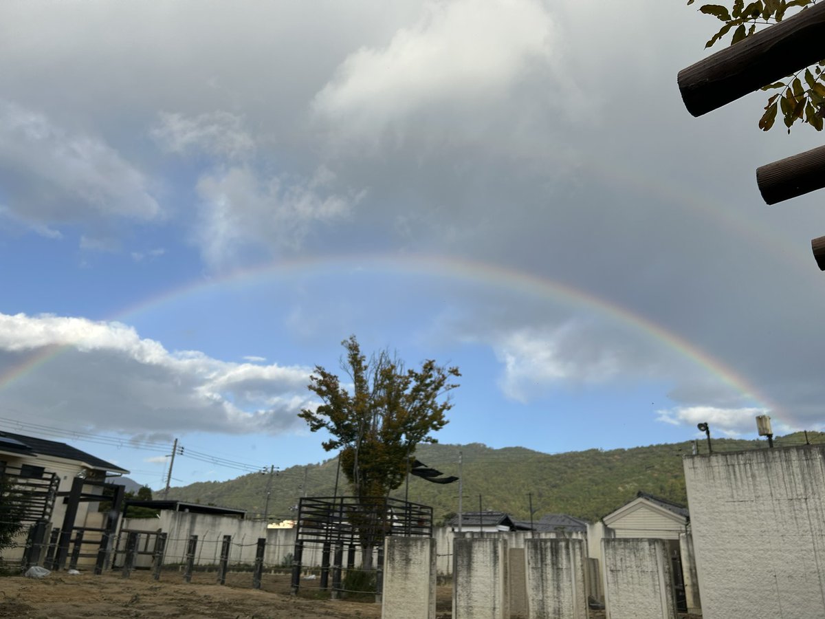 atelierLIB's tweet image. 大きな🌈🌈、感激〜〜