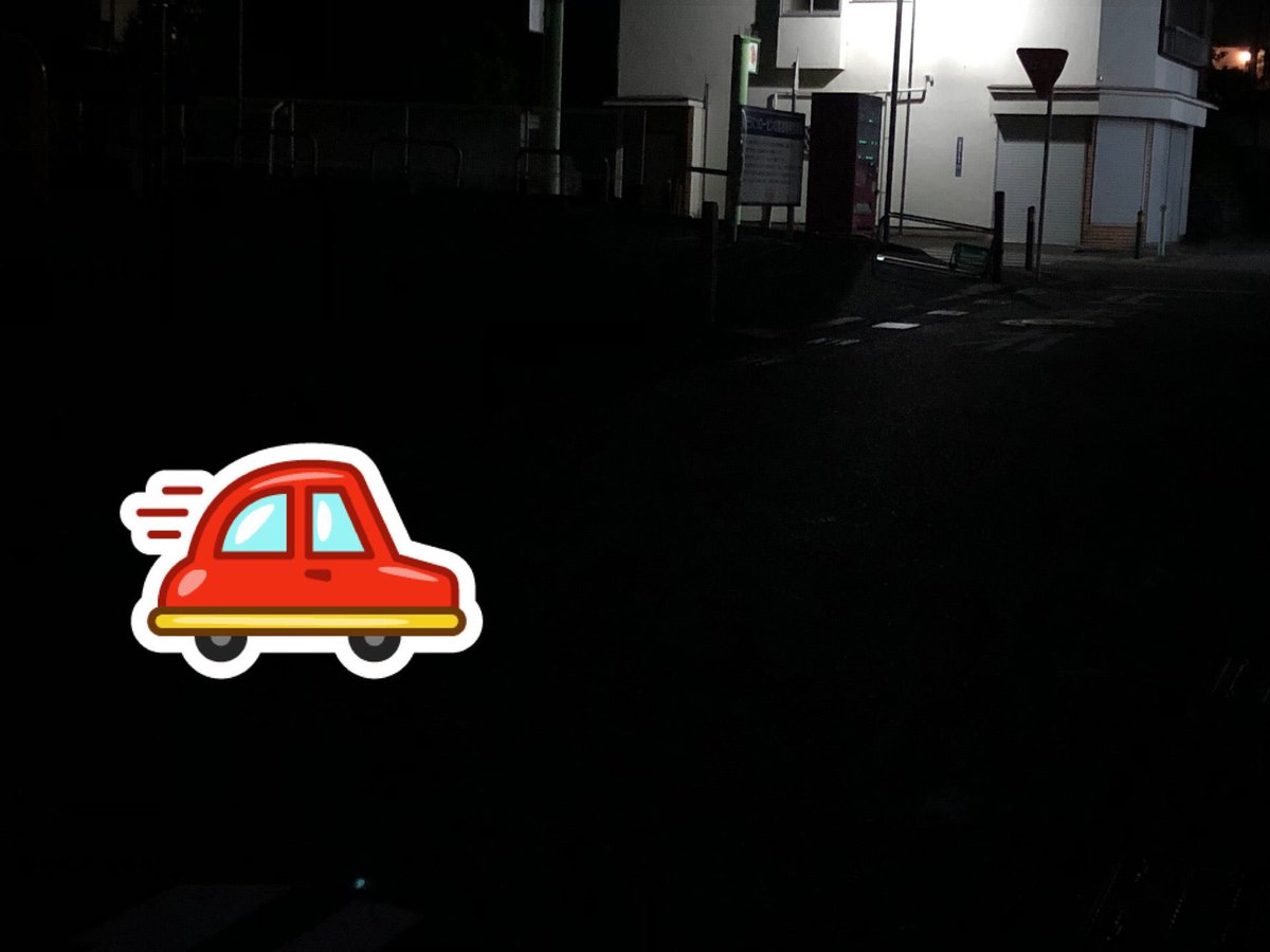 LOT海老？ ラス 生冷 桜海老 刺身用 500g ( さくらえび / サクラエビ