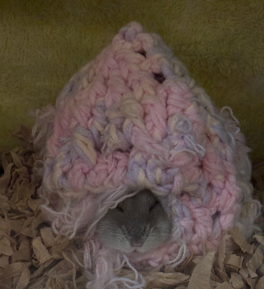 かわいい🤦
#編み物 #かぎ針 #ハムスター