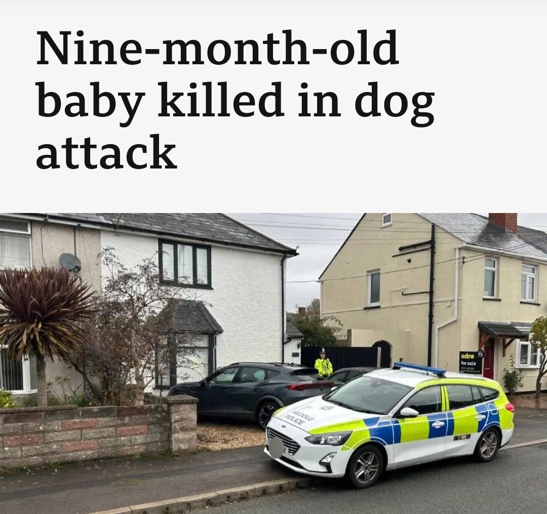 Far-Right-Floozy tweet media