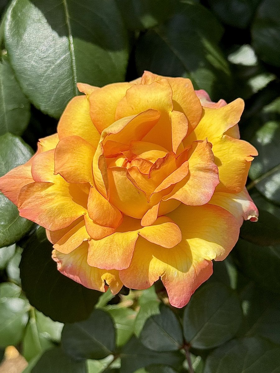 タカさん (@12taka1221) / Posts / X