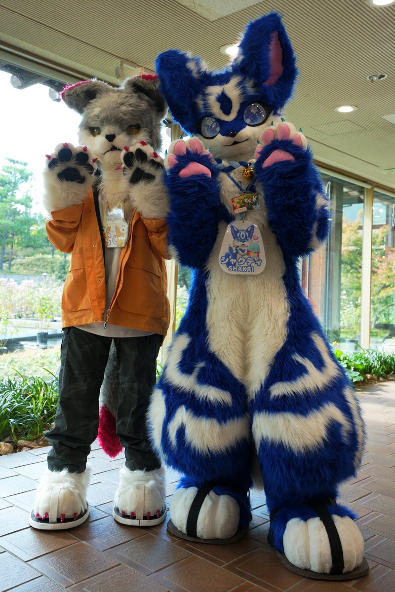 浜川　next➡ケモダーツ➡？？？ tweet media