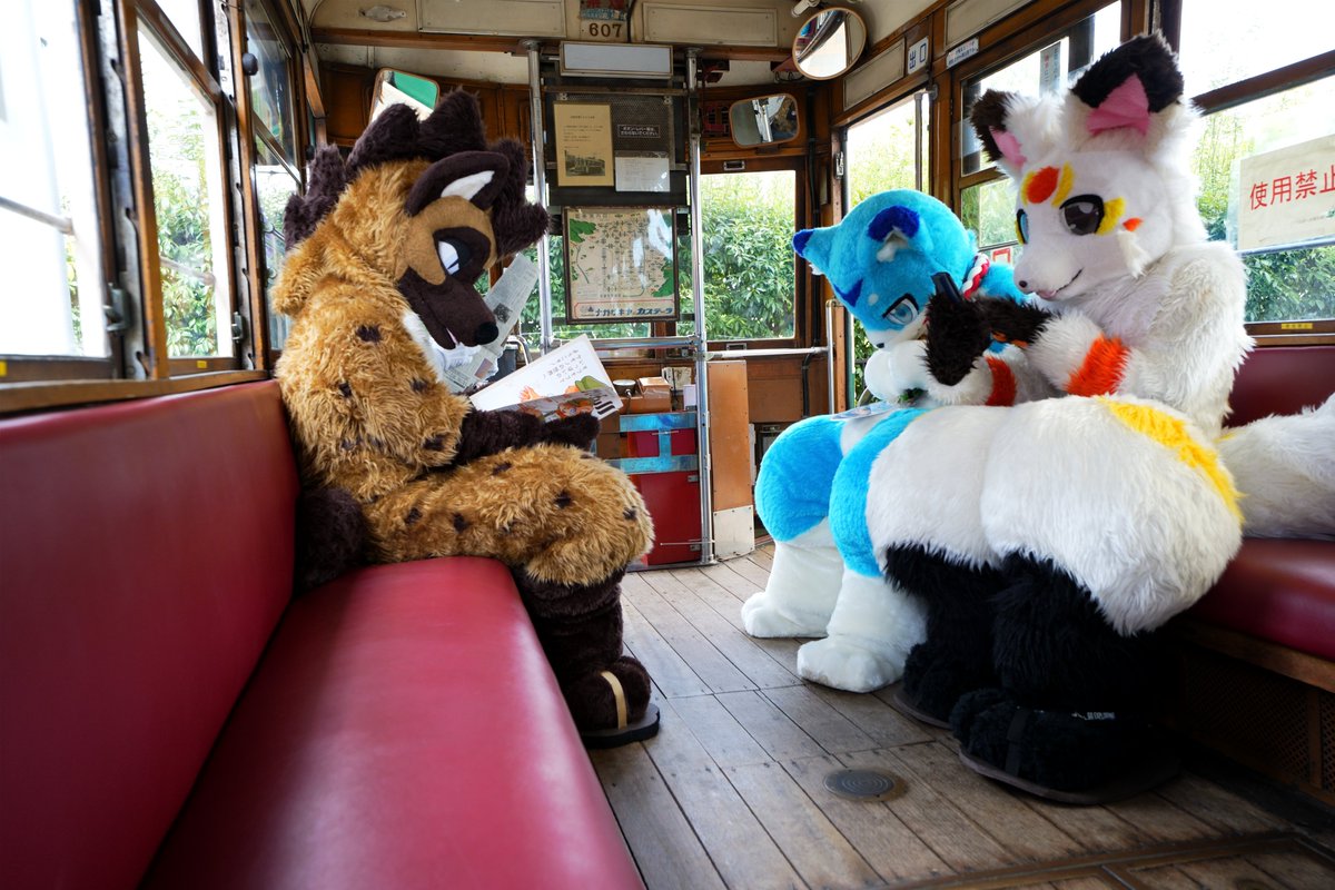 浜川　next➡ケモダーツ➡？？？ tweet media