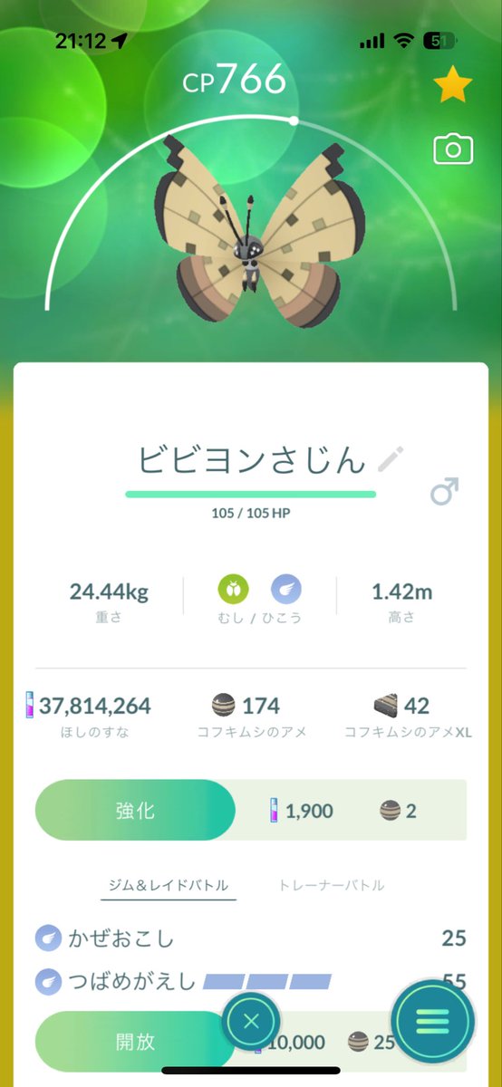 甲斐犬甲武 tweet media