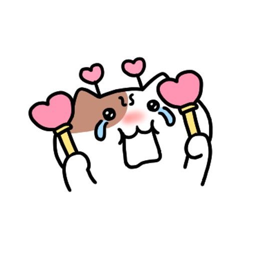 久しぶりのウルフのライブ🎤🎼🤍
めちゃめちゃ楽しかったᐡっ ̫ ᴗ ̳ᐡ💘🎀◝✩
土曜日も会い行くからね❣️⭐️ #WHH