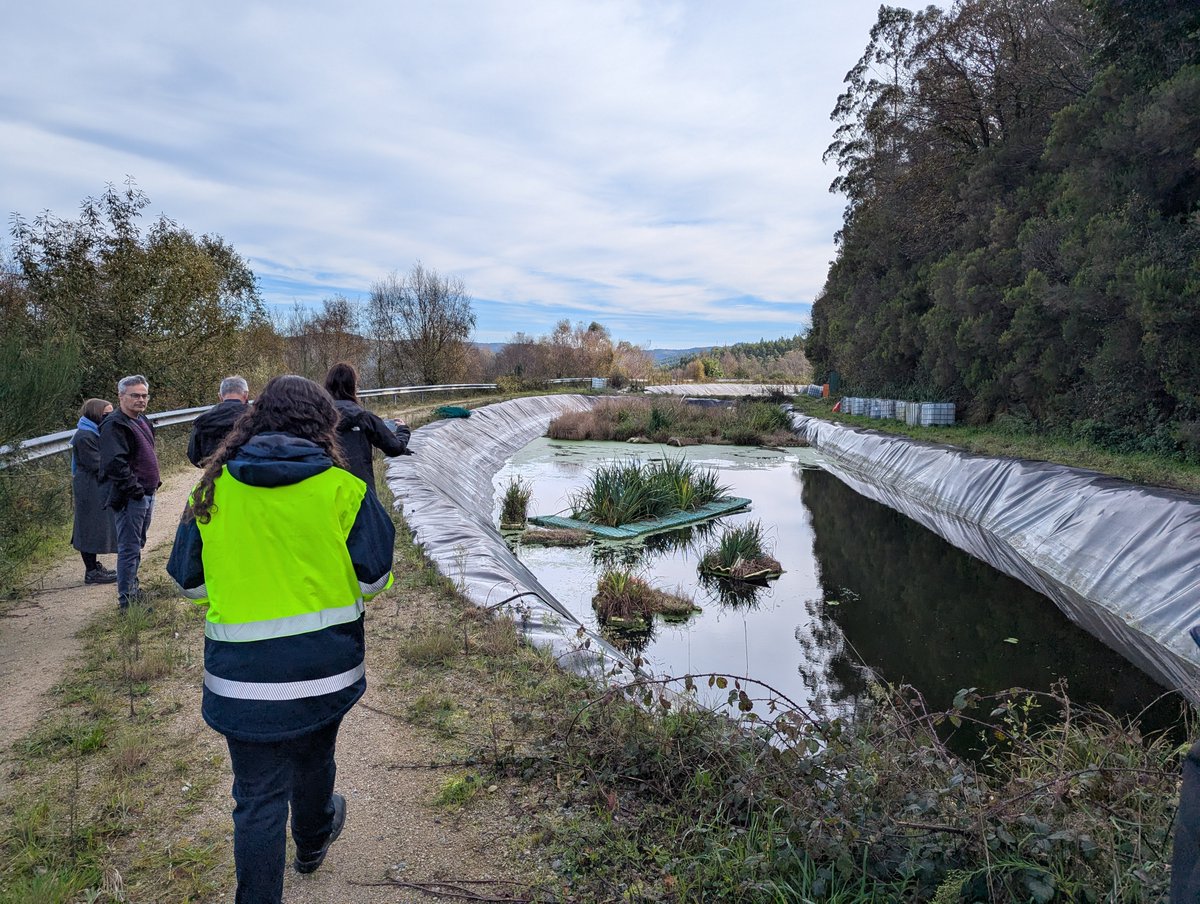 aimenct's tweet photo. 🌱@LIFEGREENADAPT1 gained a great momentum last week in A Coruña❗
This @LIFEprogramme initiative held its third Innovation Workshop, celebrated a General Assembly and visited #XILOGA to explore #demosite of As Somozas.
➕https://t.co/x09T2I32jd
#aimenresearch #EUresearch https://t.co/je5E5kLQGz