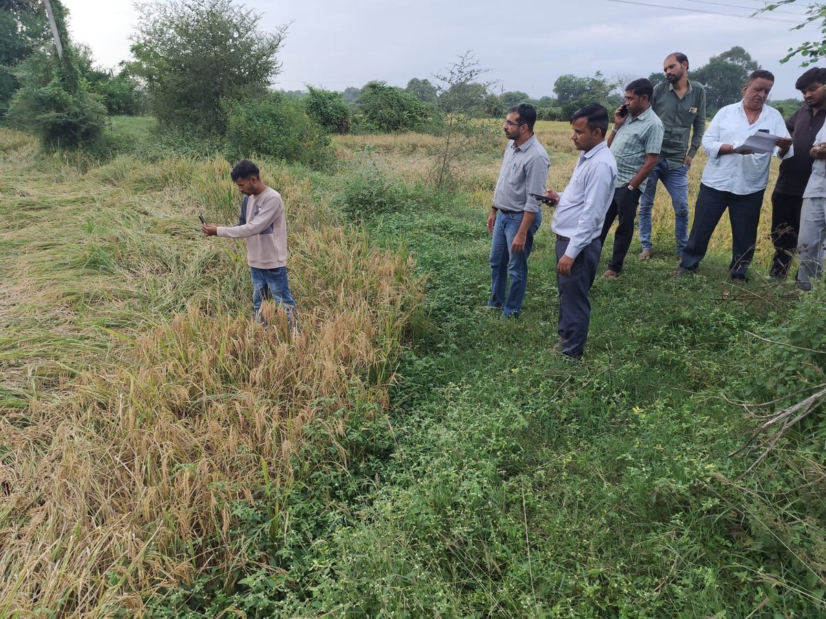 *દાહોદ જિલ્લામાં પડેલા માવઠાના કારણે ખેડૂતોને થયેલા પાક નુકસાનીનો તાગ મેળવવા માટે ખેતીવાડી વિભાગદ્વારા યુદ્ધના ધોરણે સર્વેની કામગીરી પુર્ણ કરાઇ*જિલ્લા પ્રશાસનની ૧૧૦ ટીમો દ્વારા ૨૭,૦૦૦થી વધુ હેક્ટર વિસ્તારની સર્વેની કરવાની કામગીરી પૂર્ણ કરાઇ<a href="/InfoGujarat/">Gujarat Information</a> <a href="/CollectorDahod/">Collector Dahod</a> <a href="/DahodDdo/">DDO Dahod</a>