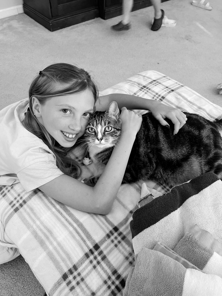 Brad Knighton tweet media