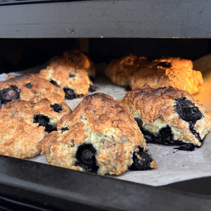 追い込み期だしスコーン焼いた。紅茶とブルーベリー。締め切り明けたら、ホケミじゃないガチの焼きたい。 