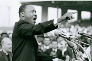 Lochside Primary tweet media