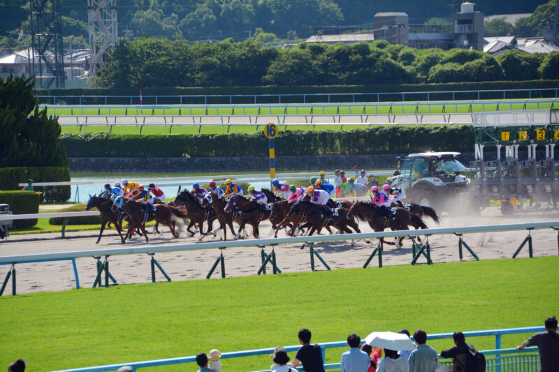 フリー素材ドットコム tweet media