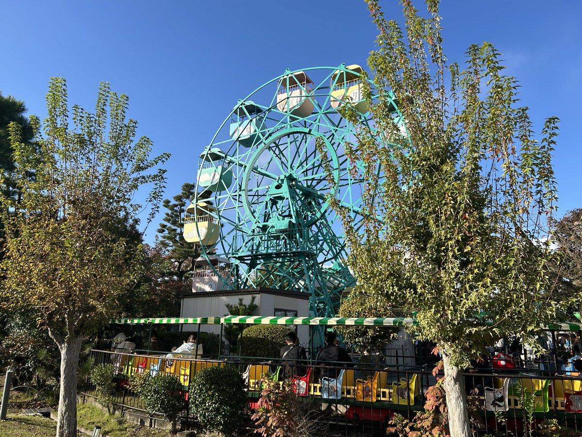 atelierLIB's tweet image. エモい、という言葉に浸る…
レッサーパンダくん、モフモフシッポ🧡