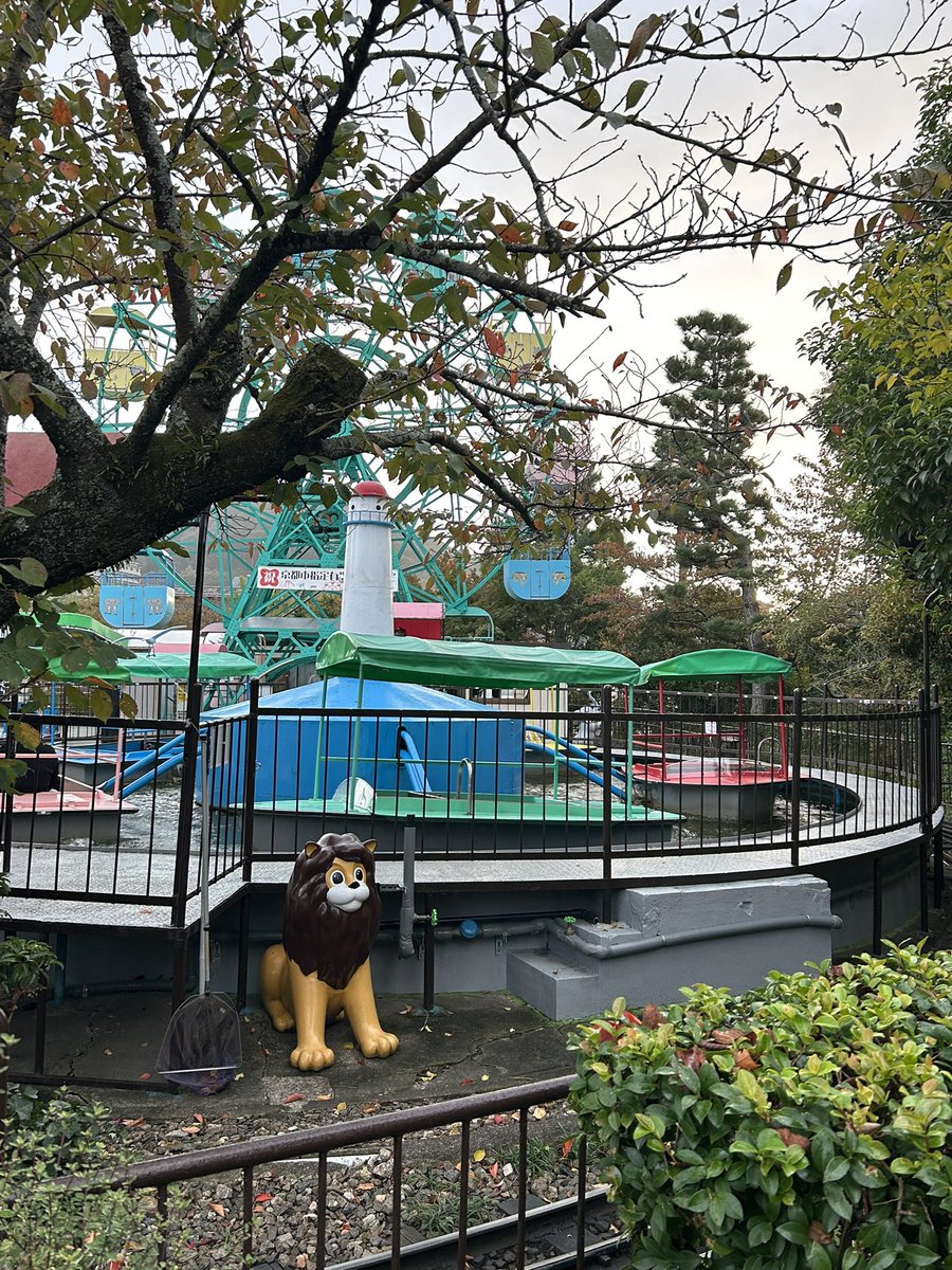 atelierLIB's tweet image. エモい、という言葉に浸る…
レッサーパンダくん、モフモフシッポ🧡