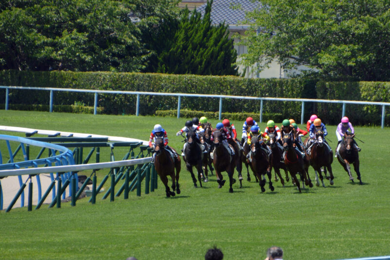 フリー素材ドットコム tweet media