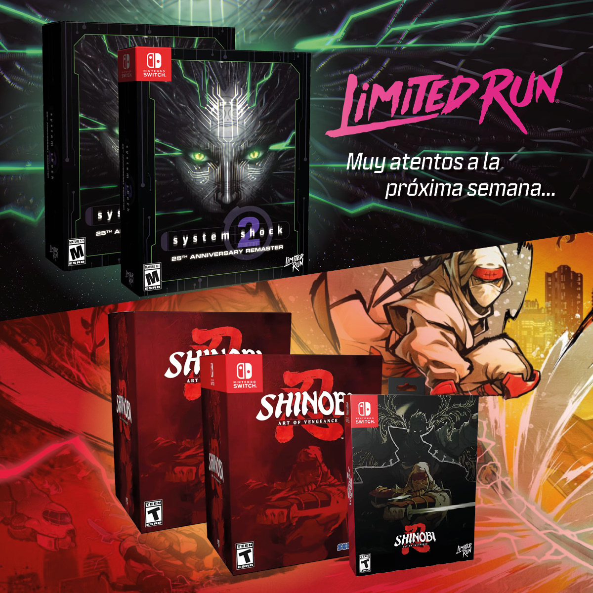 xtralife_es's tweet image. Prepárate para estas ediciones de Limited Run MUUY jugosas🤤

⚡#SystemShock2 Remastered tiene una Ed. Big Box con: Libro, BSO, un Llavero y un Póster

🥷#SHINOBIArtofVengeance tiene una Ed. Collector&apos;s con: un libro de arte. steelbook y más

RESERVA➡️ tinyurl.com/ye543z2c